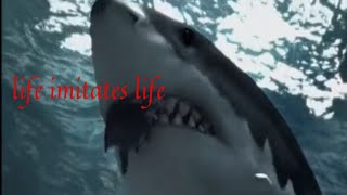 Megalodon Tribute - Life Imitates Life