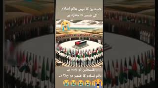 اے اللہ پاک فلسطین کو ازادی دے اور اسرائیلی فوج کوتباہ و برباد فرما دیں امین#viralvideo#viralفلسطین