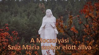 A Mocsolyási Szűz Mária szobor előtt állva (Nagy Veronika verse)