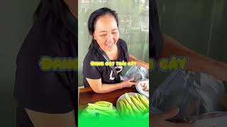 Những thú vị  về lớp học chưa bao giờ được bật mí #thaophamlivestream