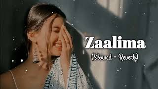 zaalima Bollywood song slowed+reverb ♥️♥️♥️