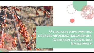 О закладке многолетних плодово-ягодных насаждений