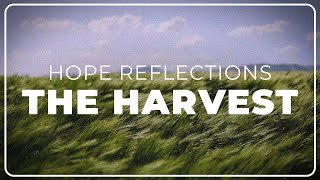 Awaiting Your Harvest - Hope Reflections