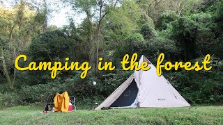 Autumn camping in Japan: Azeta Camping Ground, Kagawa 畦田キャンプ場 香川