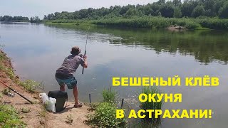 БЕШЕНЫЙ КЛЕВ ОКУНЯ НА ДОНКУ В АСТРАХАНИ!