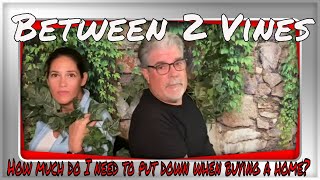 Between 2 Vines Episode 9 - Down Payment when buying a home, how much is needed?