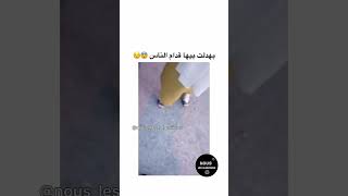 شاهد ماذا فعلت هذه الفتاة الجزائرية لصديقتها😱💔