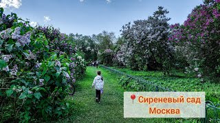 Сиреневый сад. Москва