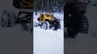 Bumble Bee playing in the snow