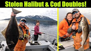 A Stolen Halibut and Double Cod Doubles! Halibut Fishing - Juneau, Alaska! MAY 2024 #fishing