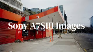 Sony A7SIII Photos & Video | VLOG Test | RAW Files in Description