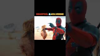 Deadpool and Wolverine😂 Barbadi ke Badshah #funny #memes #deadpool3 #shortsfeed #youtube #trending