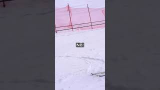 Why I Refuse to Go Skiing! 2024 11 05 #comedicgold #jokes  #laughoutloud  #skiing #funny #snow