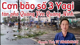 Cơn bão số 3 Yagi tàn phá Quảng Yên Quảng Ninh