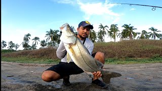 pesca de robalo y pargo de playa y que señuelos utilizar en ixtapa zihuatanejo guerrero