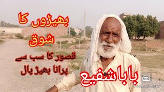 One Of The Best Sheep Farmer In Pakistan|Sheep Farming Tips|#sheepfarming #goat #youtube #goatface