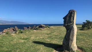 Moai Statue #wellington #newzealand #thefrakarsas