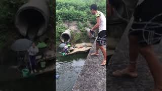 Amazing cast net Fishing Video 🐟 Best Asian Fishing Technique 🐟 #shorts