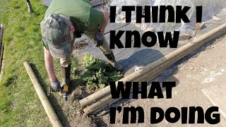 I think I know what I'm Doing | Allotments For Fun and Food