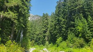 Enjoying the nice mountain Clear water