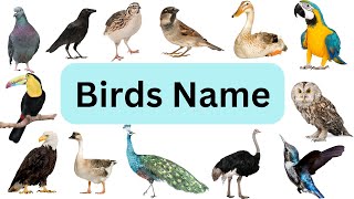 Birds Name in English with Picture ||Birds Name for Kids and Toddlers|| kids vocabulary|| Part-2