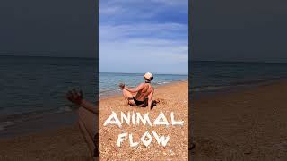 #animalflow #тренеронлайн #фитнес #море #здоровыйобразжизни #motivation #спорт #beach