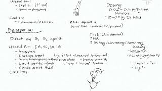 Adrenergic Agonists 5 - Epinephrine