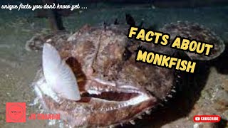 5 Facts about Monkfish, Unique facts you don't know yet…