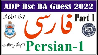 BA Persian (Farsi)  Part 1 Past Papers Guess Papers 2022 | Learn With Nidi #punjabuniversity #uos