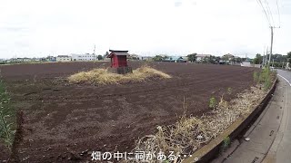 踏み入れない畑の中に祠があった・・・。