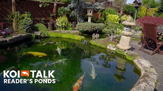 Reader's Koi Ponds | John Middleton