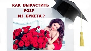 КАК ВЫРАСТИТЬ РОЗУ из УВЯДШЕГО БУКЕТА?