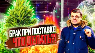 Елки сгорели! Брак при поставке елок на склад 2022