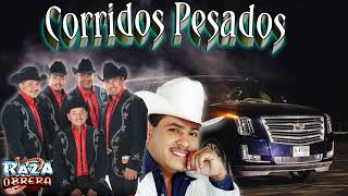 corridos pesados 🔥🔥 La raza obrera 💥El tigrillo palma ✴️✴️