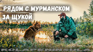 РЫБАЛКА РЯДОМ С МУРМАНСКОМ. С РЫЖЕЙ СОБАКОЙ ЗА ЩУКОЙ НА ДОМАШНЕЕ ОЗЕРО.  5 ЛЕТ ТУТ НЕ БЫЛ.