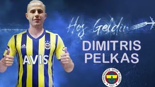 PELKAS'IN EN İYI GOLLERİ FENERBAHÇE