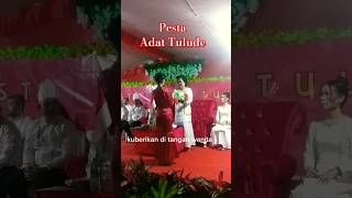 #shorts Pesta Adat Tulude #tulude #kecamatanmatuari #kotabitung #shortvideo