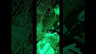 Hermano cayó la ley #urbex @noeurbexoficial #urbexnocturno #policia #viralvideo