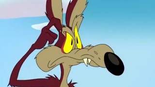 Wile E. Coyote kratzt sich am Kopf | Looney Tunes Memes