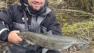 Oswego river steelhead, first drift of the trip!!