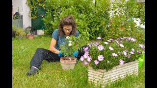 The Importance of Garden Care Service and Horticulture | Home Garden Care