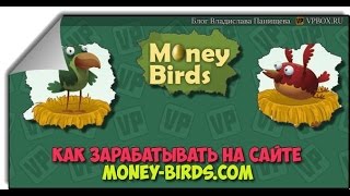 Игра !  Заработок на Money Birds ! Как правильно начать и получить больше бонусов!