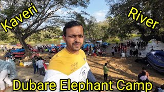 Dubare Elephant camp coorg | Madikeri | kaveri River