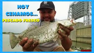 "Pesca y Cocina de TRUCHA en la costa de Texas City: Secretos de los Pescadores Locales"