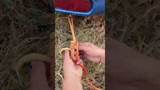 New Trailer Hitch Knot Technique