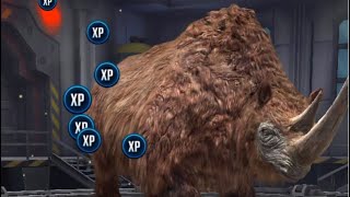 I got Woolly Rhino in Jurassic World Alive!!!