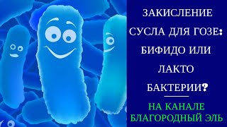 Чем закислять сусло: бифидобактерии и лактобактерии. Гозе. Эксперемент.