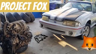 Project Fox 1991 Mustang GT