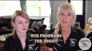 Dog Training & Wellness Programs | Dog Behavior & Training | DogBoy's DogVlog