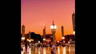 Madina K Musafir…🌹